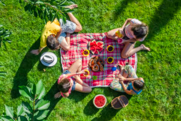 Four people sitting on a picnic blanket.
